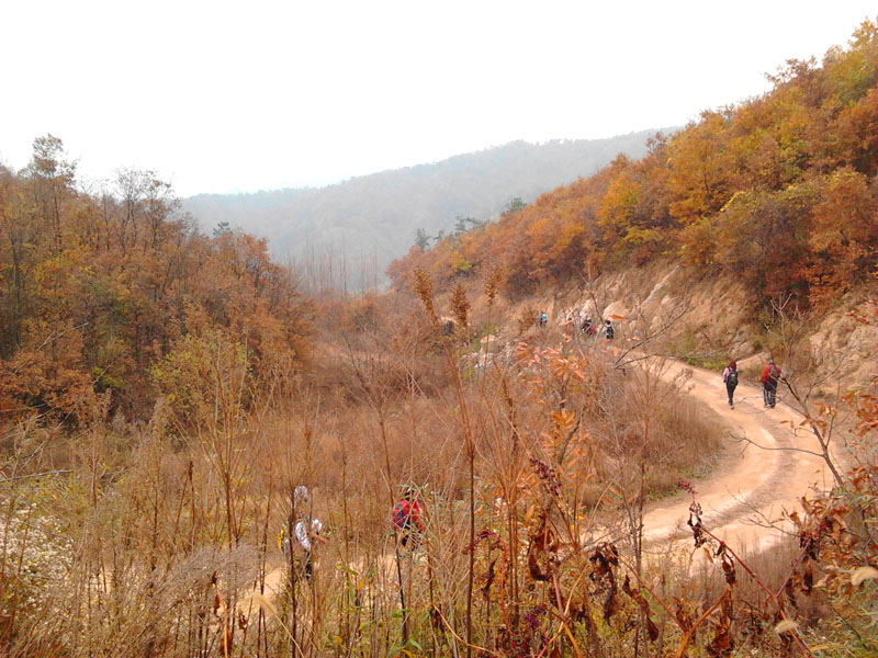 2012-11-24 14.40.09.jpg