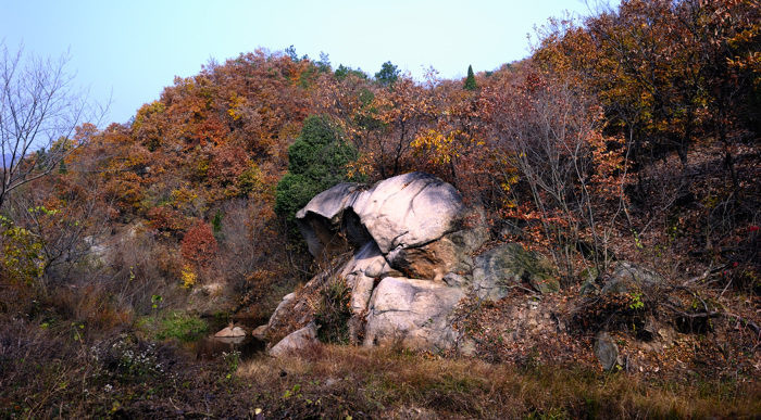 _dsc5908.jpg