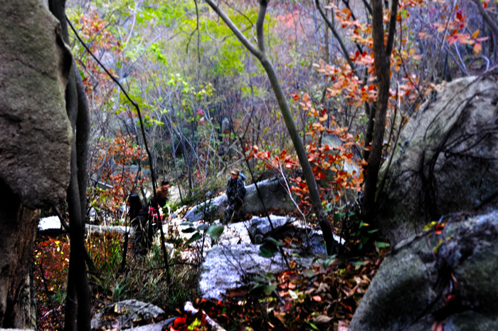 _dsc6034.jpg