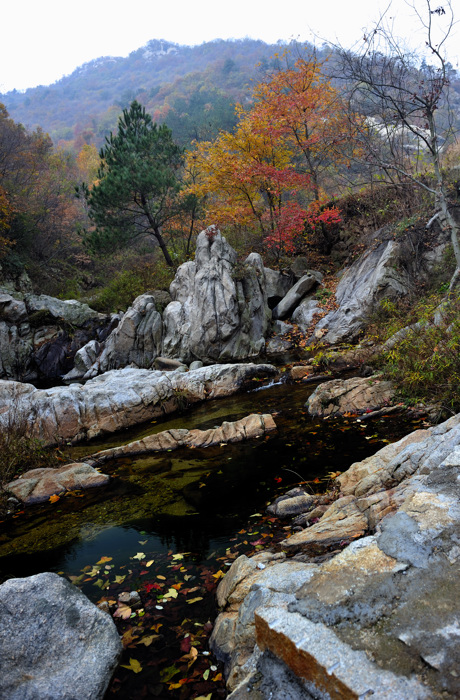 _dsc5976.jpg