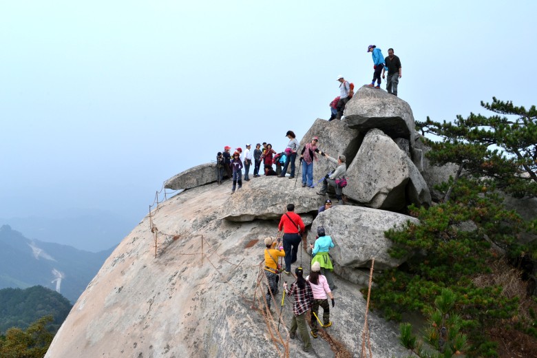 dsc_0095_conew1.jpg
