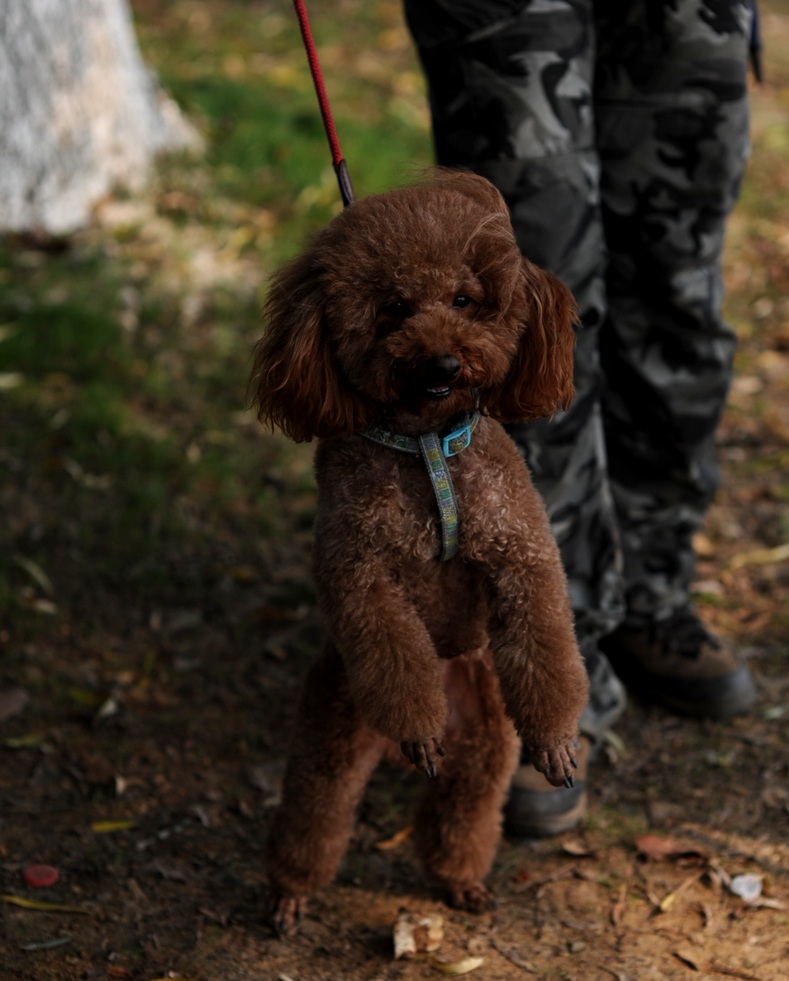 dsc_3272.jpg