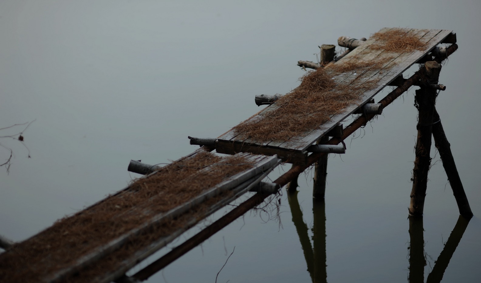 dsc_3434.jpg