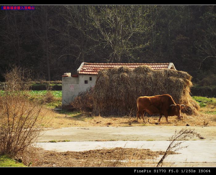 dscf5024.jpg