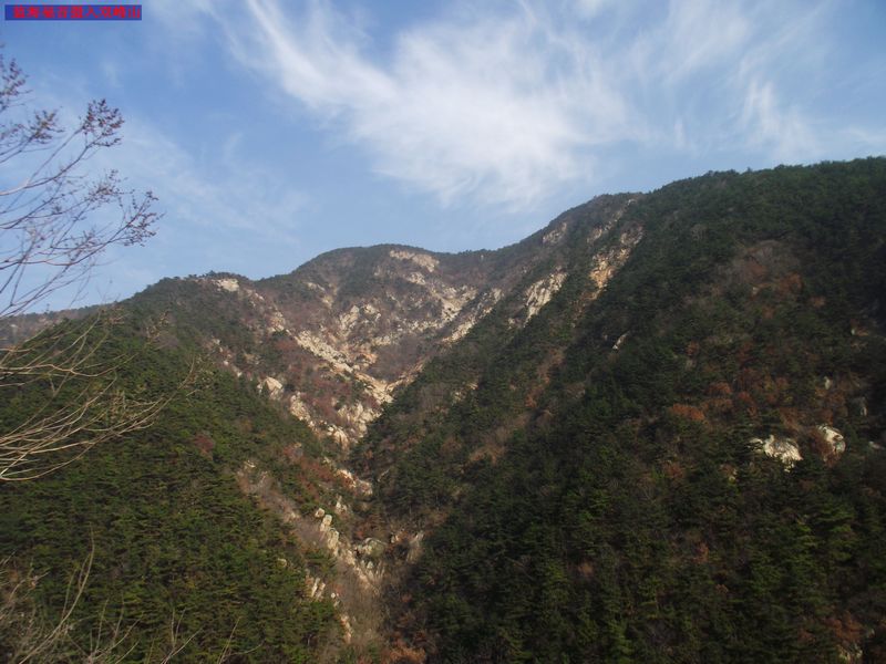 dscf5105.jpg