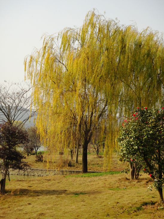 dsc05916.jpg
