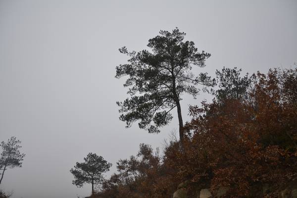 2012.12.2ʮ̶135135.jpg