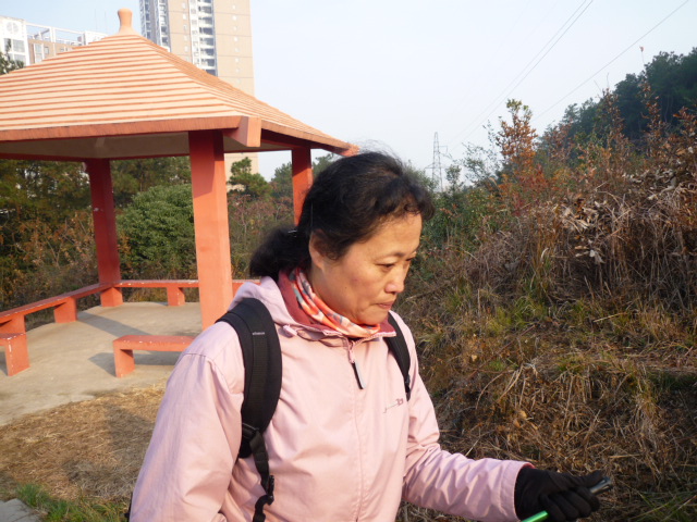 p1090573.jpg