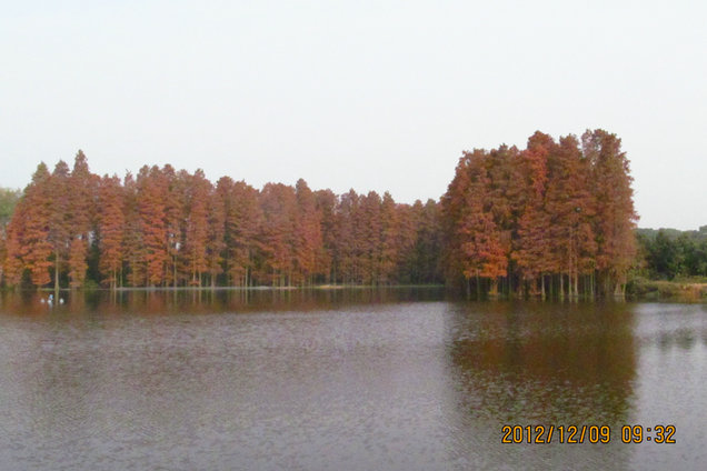 img_0733.jpg