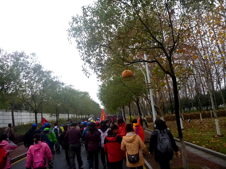 p1130317_.jpg