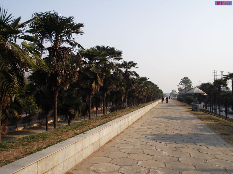 dscf1550.jpg