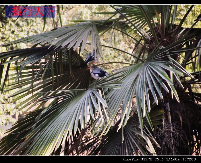 dscf1569.jpg