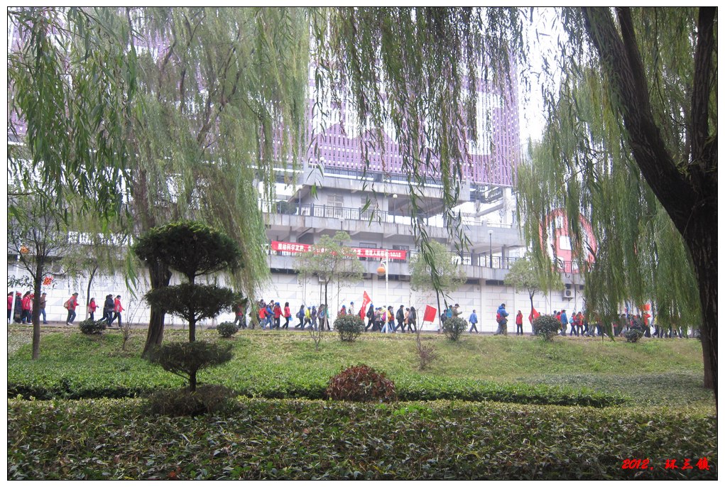 201219.jpg