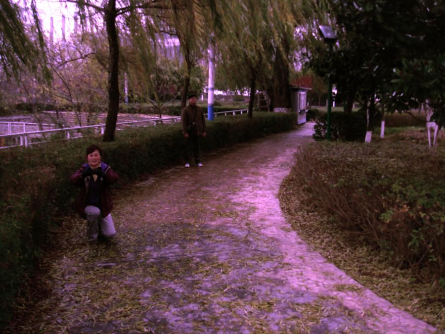 dsc01498-11.jpg