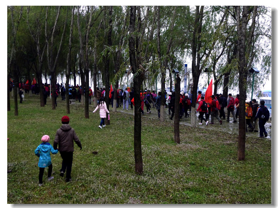 p1180113.jpg