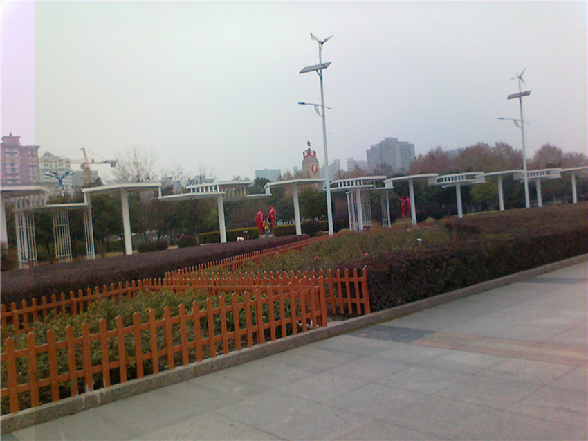 201212152590_.jpg