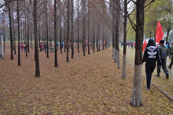 2012.12.15ͽ163.jpg