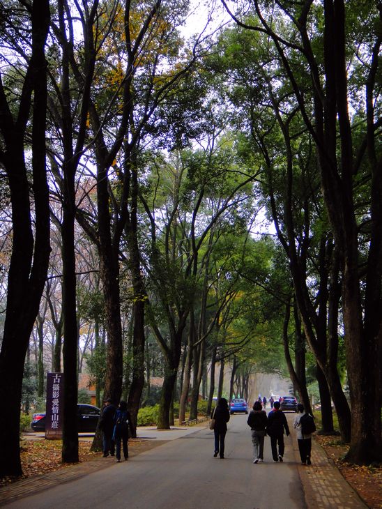 dsc06508.jpg