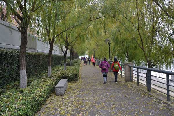 2012.12.15ͽ066.jpg