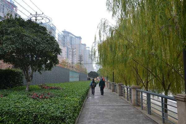 2012.12.15ͽ071.jpg