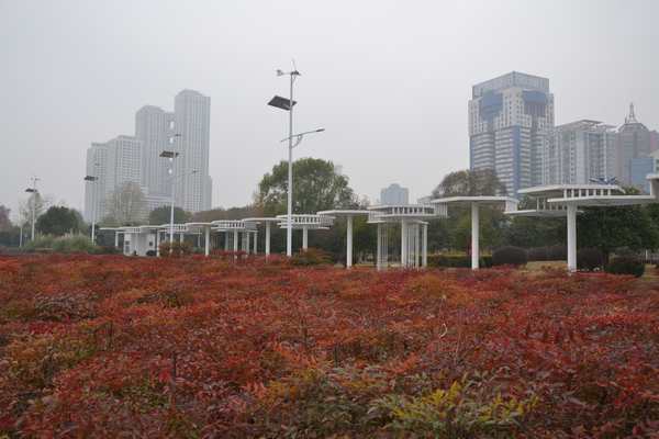 2012.12.15ͽ092.jpg