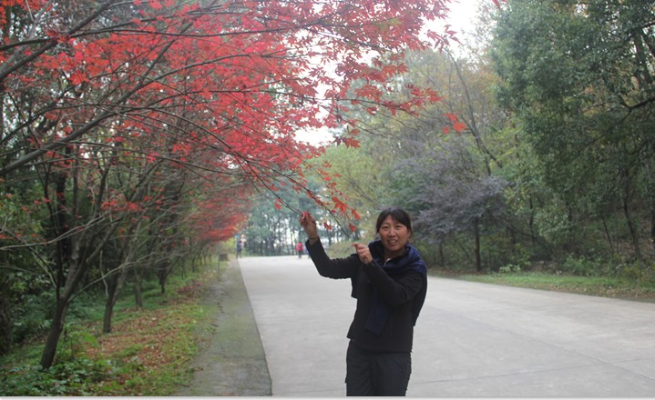 20121202181340.jpg