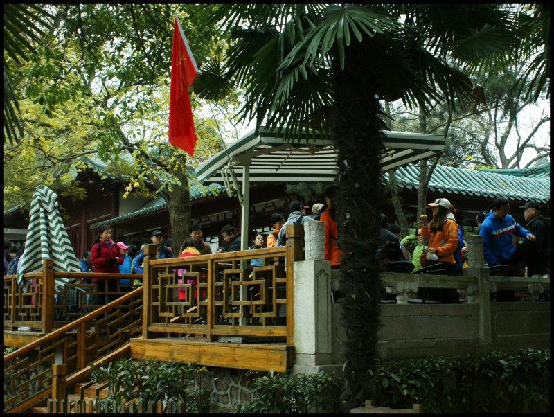conew_dsc06650_conew1.jpg