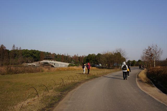 dsc00093.jpg
