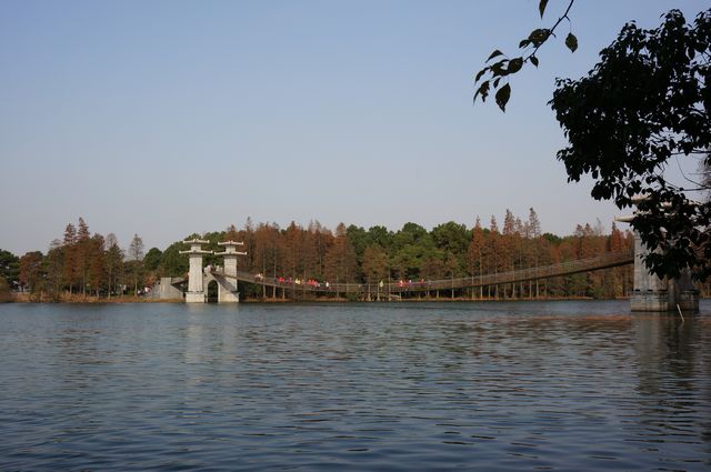 dsc00111.jpg