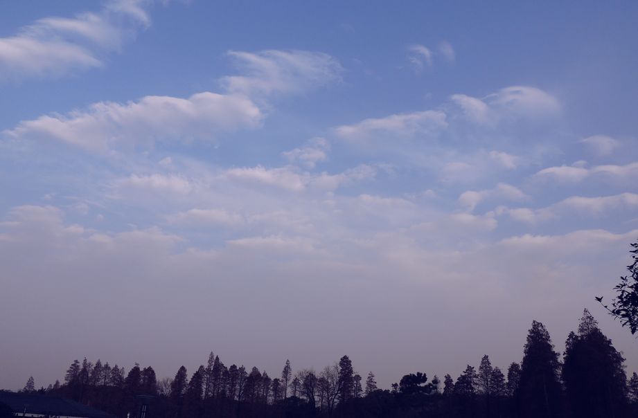 dscn1343.jpg