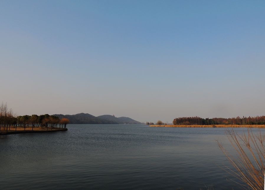 dscn1351.jpg
