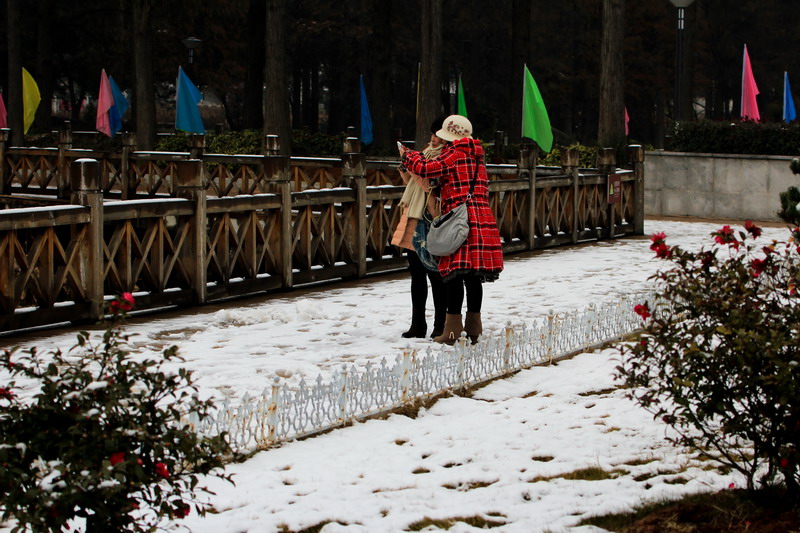 img_4186_СС.jpg