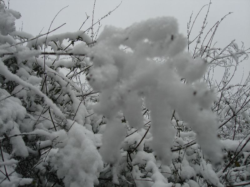 neo_img_ѩ 048.jpg