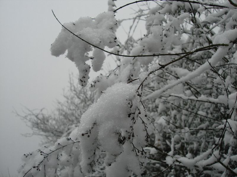 neo_img_ѩ 049.jpg
