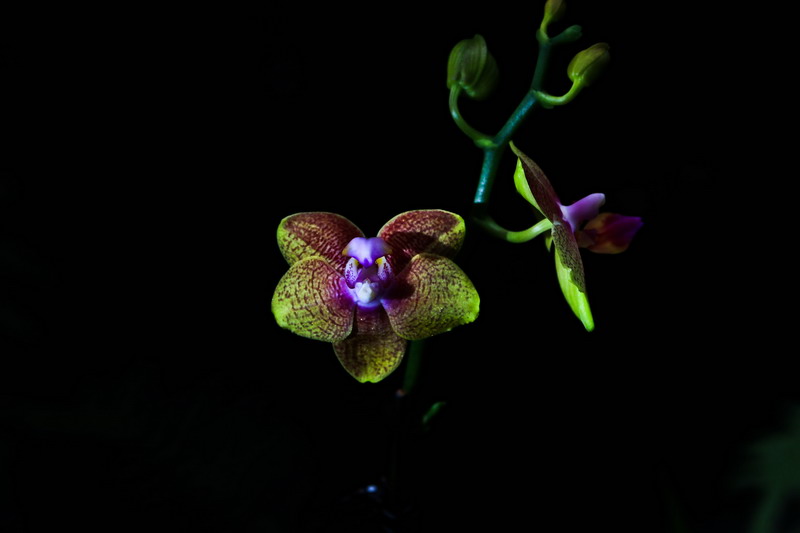 img_4305_СС.jpg