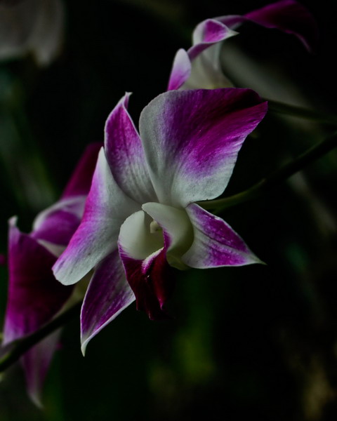 img_4212_СС.jpg