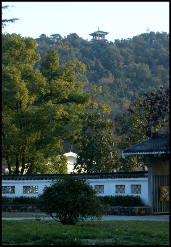 conew_dsc07635_conew1.jpg