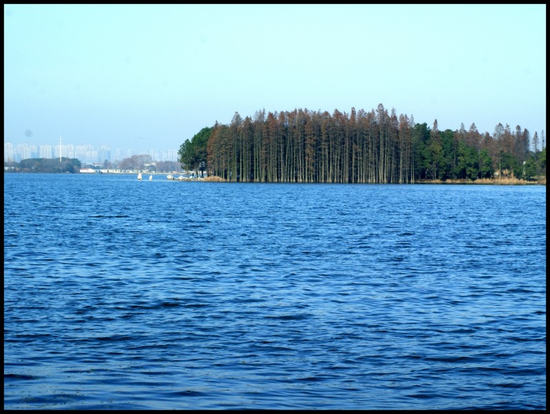 conew_dsc07723_conew1.jpg