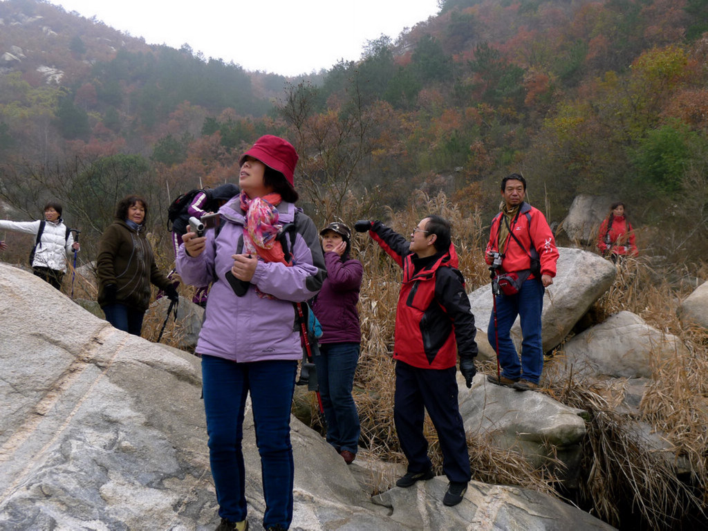 p1170831.jpg