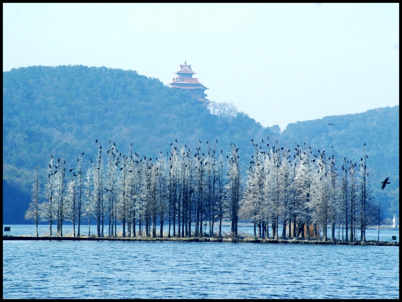 conew_dsc07732_conew1.jpg