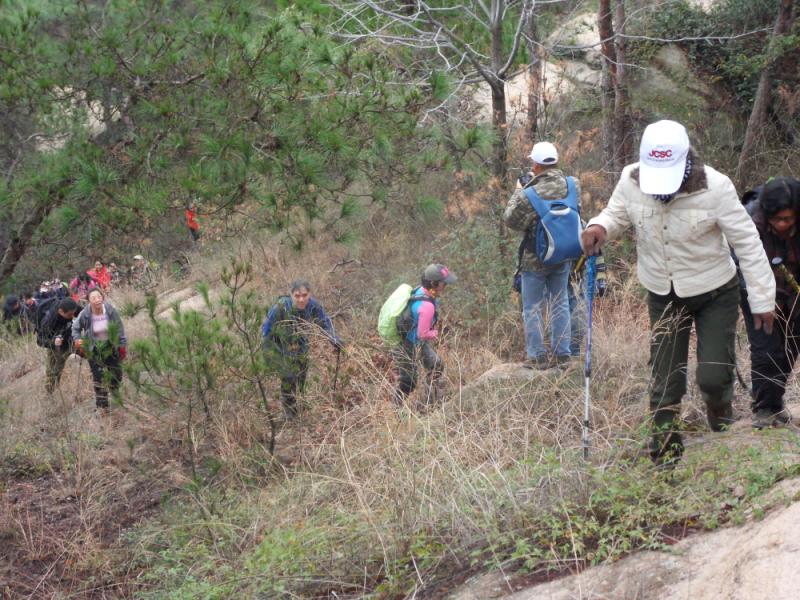 sdc17821.jpg