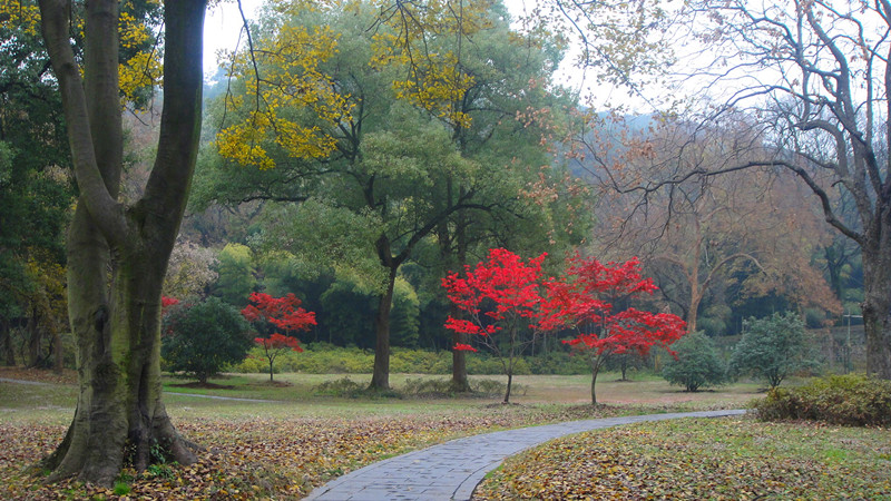dsc00150_.jpg