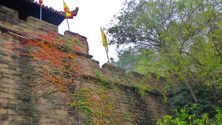 p1040269_.jpg