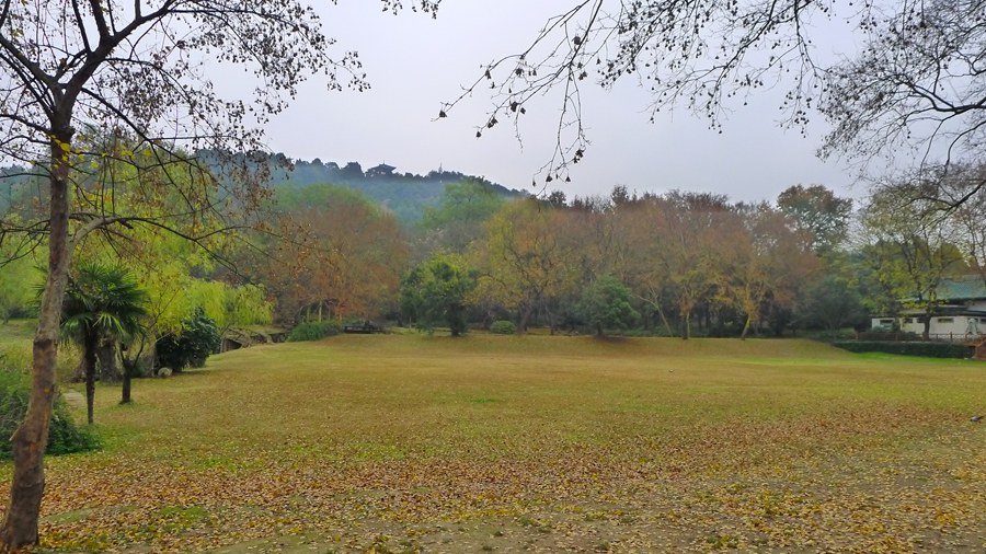 p1040280_.jpg