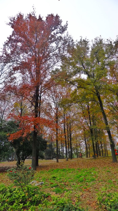 p1040290_.jpg