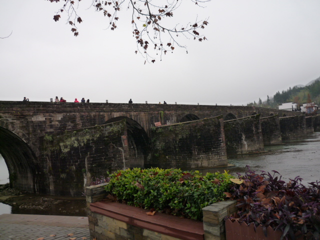 p1090454.jpg