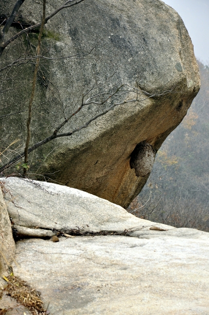 _dsc0176_2140.jpg