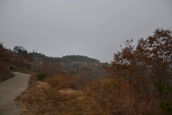 2012.12.2ʮ̶001001.jpg