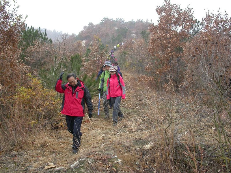 dscn8199.jpg