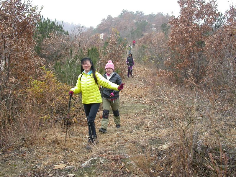 dscn8207.jpg